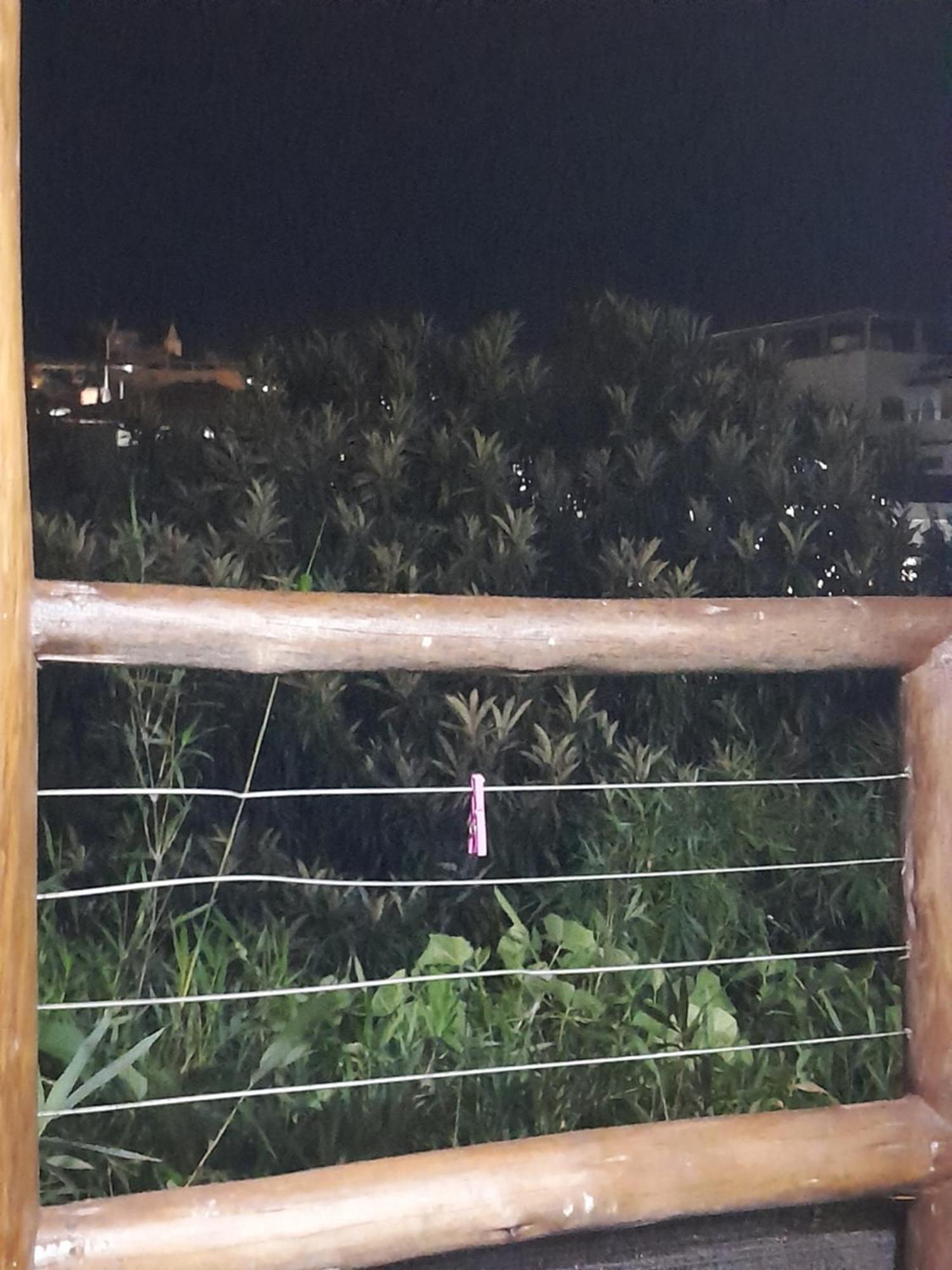 Chale Bambu3 Apartment Cunha Bagian luar foto